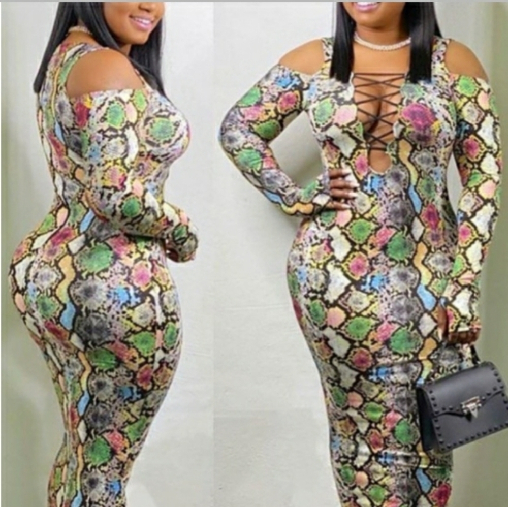 MultiColored snake skin off shoulder dress